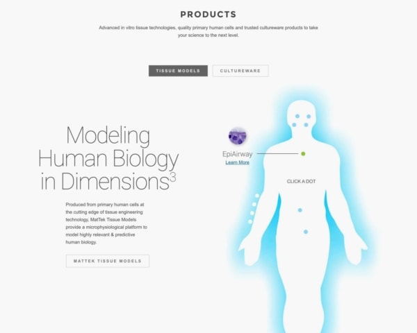 Biotech Web Design Example: MatTek Preview.